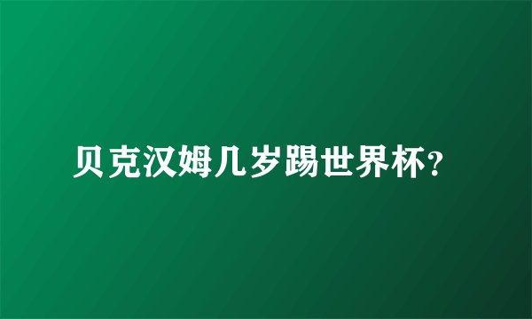 贝克汉姆几岁踢世界杯?