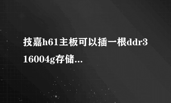 技嘉h61主板可以插一根ddr3 16004g存储空间跟一分钱8g的吗