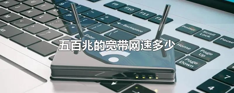五百兆的宽带网速多少