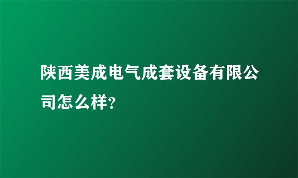 陕西美成电气成套设备有限公司怎么样?