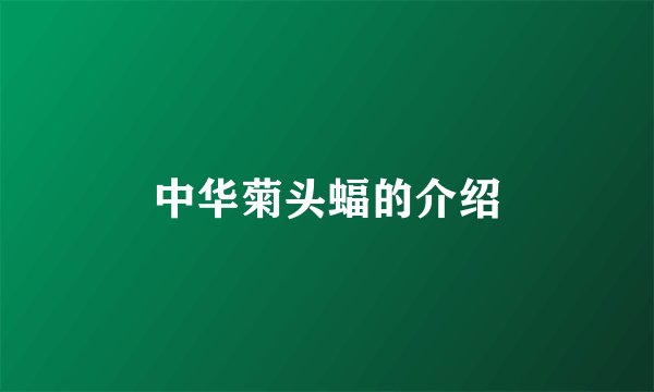 中华菊头蝠的介绍