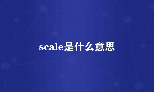 scale是什么意思