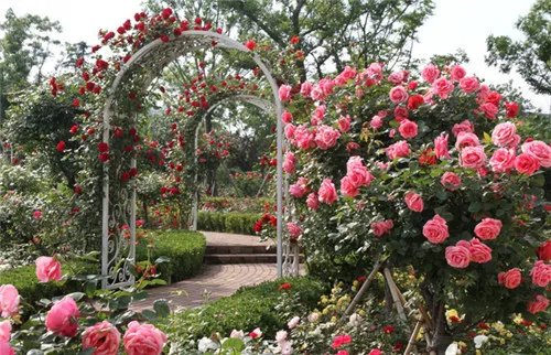 花园婚礼主题策划 花园婚礼现场布置
