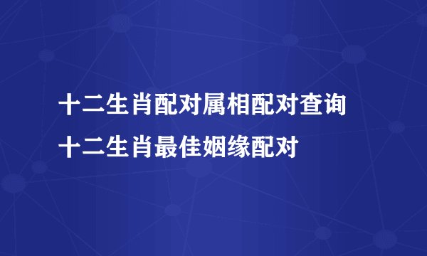 十二生肖配对属相配对查询 十二生肖最佳姻缘配对