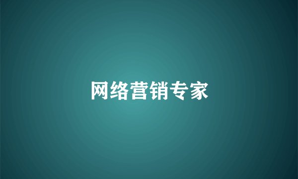 网络营销专家