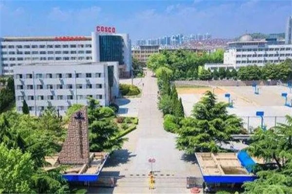 山东专科大学有哪些 2019山东所有专科大学排名及分数线