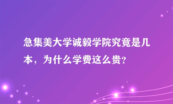 急集美大学诚毅学院究竟是几本，为什么学费这么贵？