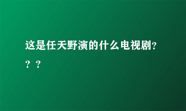 这是任天野演的什么电视剧？？？