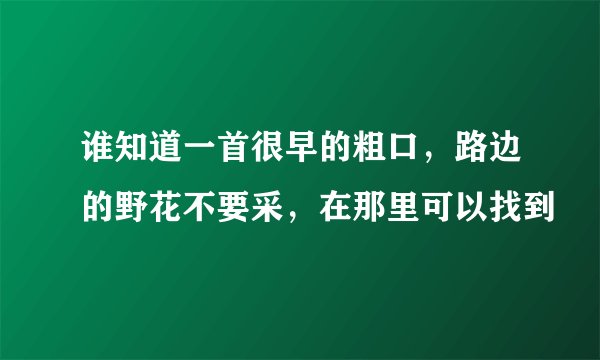 谁知道一首很早的粗口，路边的野花不要采，在那里可以找到