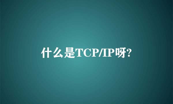 什么是TCP/IP呀?