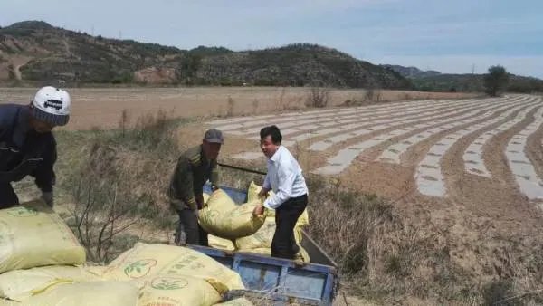 一样型号的肥料价格不一样,但为啥农民愿意购买高价肥料?