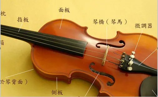 世界三大乐器分别是什么？