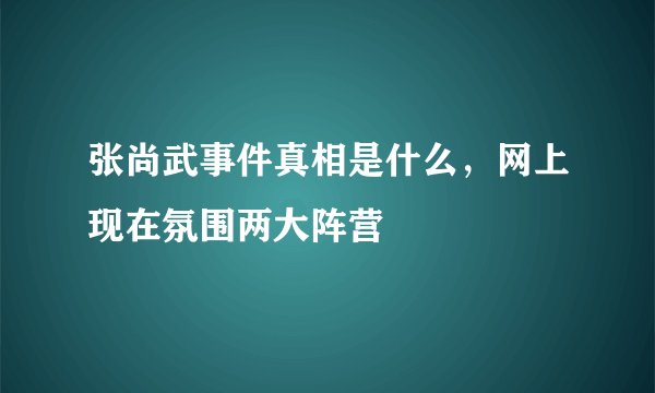 张尚武事件真相是什么，网上现在氛围两大阵营