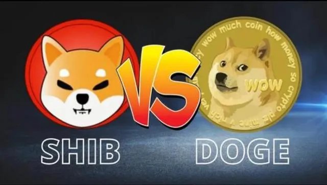 v神shib币