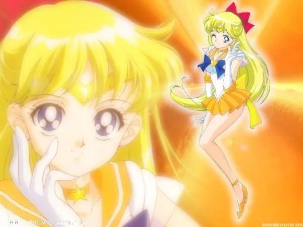 美少女战士里面水兵金星出现在第几集？