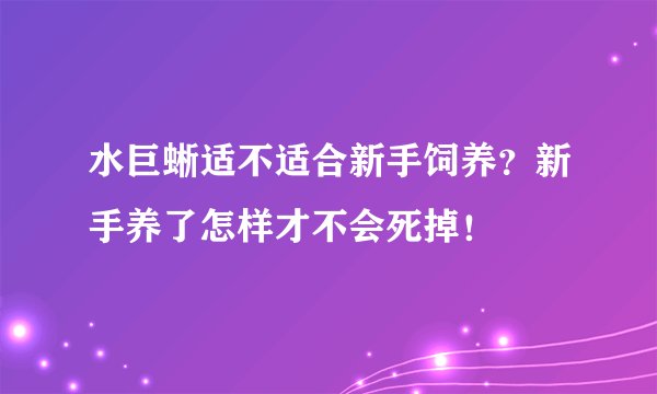 水巨蜥适不适合新手饲养？新手养了怎样才不会死掉！