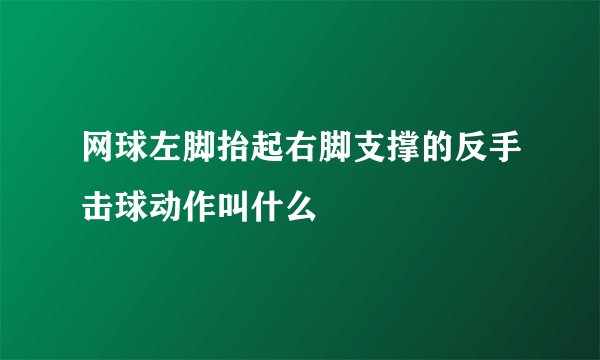 网球左脚抬起右脚支撑的反手击球动作叫什么