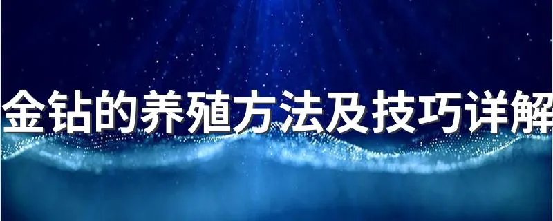 金钻的养殖方法及技巧详解 金钻的养殖方法介绍