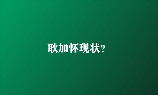 耿加怀现状？