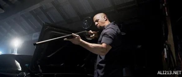 范·迪塞尔的十部最佳电影推荐 《极限特工3》未上榜!