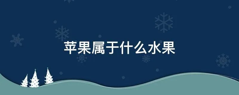 苹果属于什么水果