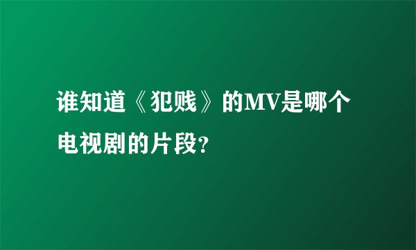 谁知道《犯贱》的MV是哪个电视剧的片段？