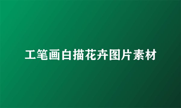 工笔画白描花卉图片素材