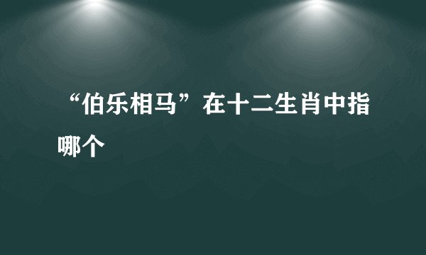 “伯乐相马”在十二生肖中指哪个