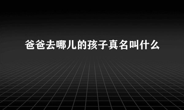 爸爸去哪儿的孩子真名叫什么