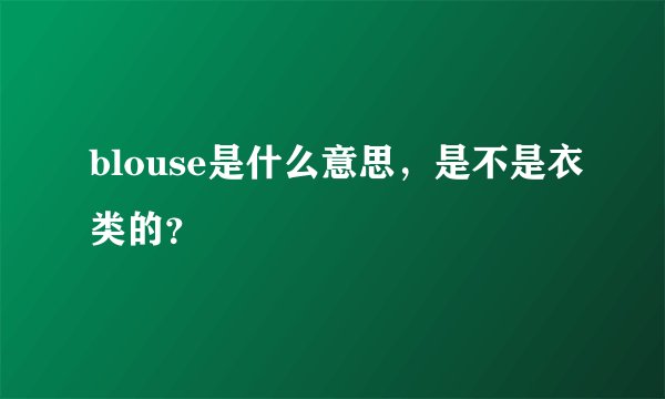 blouse是什么意思，是不是衣类的？