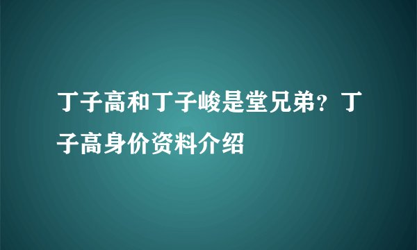 丁子高和丁子峻是堂兄弟?丁子高身价资料介绍