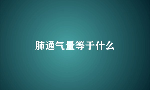 肺通气量等于什么