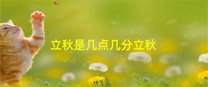 立秋是几点几分立秋