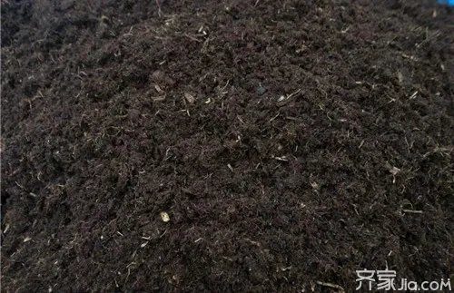 什么是草炭土 草炭土制作过程