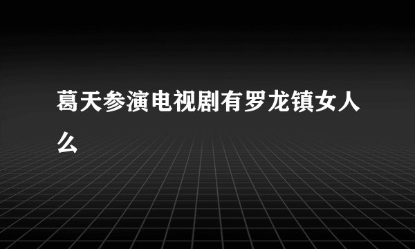 葛天参演电视剧有罗龙镇女人么