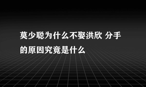 莫少聪为什么不娶洪欣 分手的原因究竟是什么