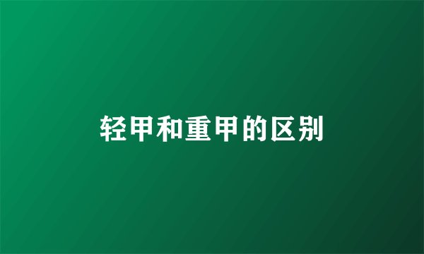 轻甲和重甲的区别