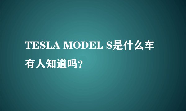 TESLA MODEL S是什么车有人知道吗？