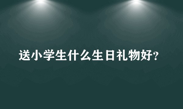 送小学生什么生日礼物好？