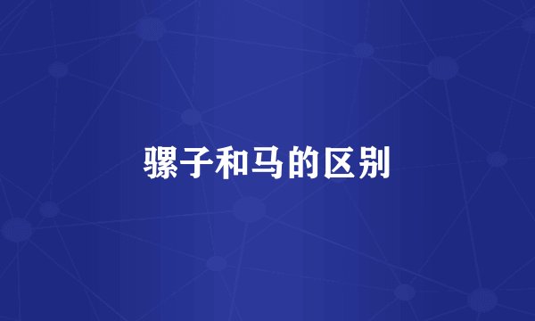 骡子和马的区别