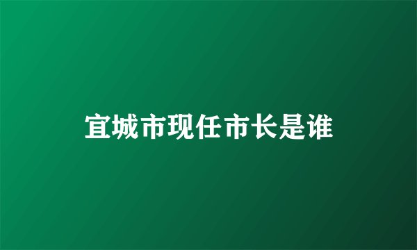 宜城市现任市长是谁