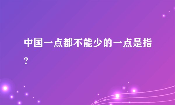 中国一点都不能少的一点是指？