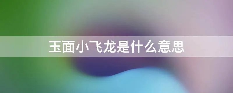玉面小飞龙是什么意思