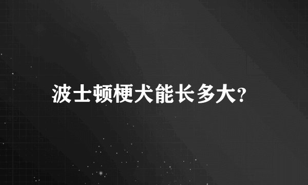 波士顿梗犬能长多大？