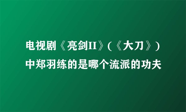 电视剧《亮剑II》(《大刀》)中郑羽练的是哪个流派的功夫