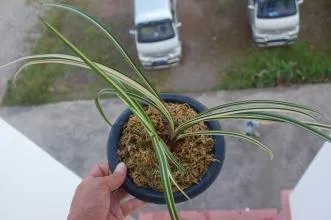 农村老话:一根草一滴露,讲的是什么意思?