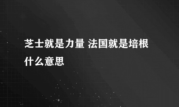 芝士就是力量 法国就是培根什么意思