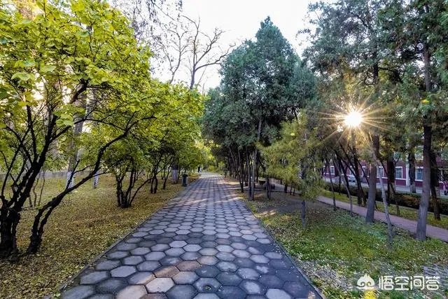 山西大学会成为双一流大学吗