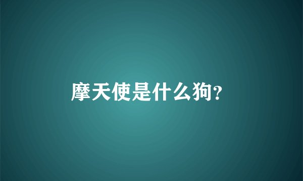 摩天使是什么狗？
