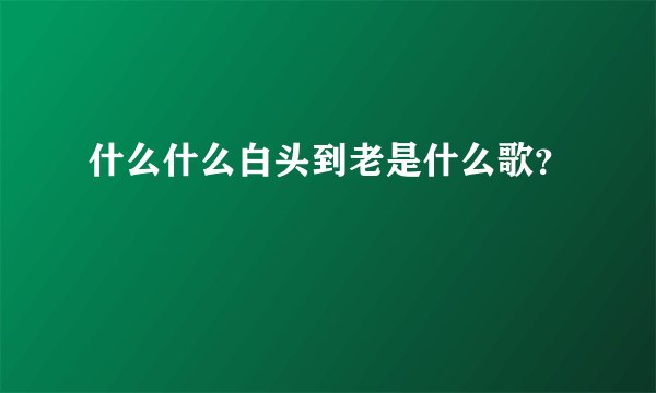 什么什么白头到老是什么歌？
